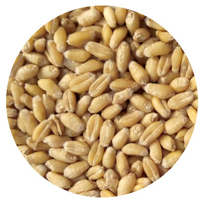 Container Terminal Loading Container Load