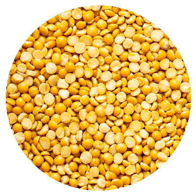 Discharging Image at Port