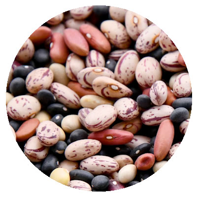 Ship with Grain cargo<br />
At sea<br />
