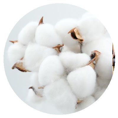 Container Terminal Loading Container Load