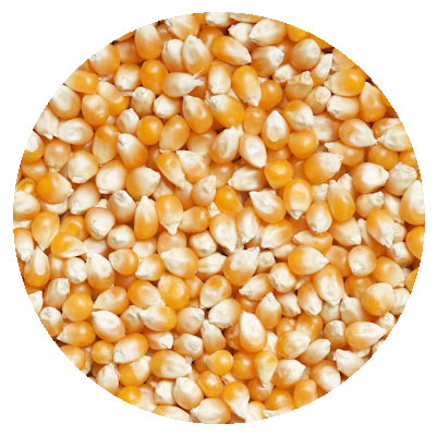 Ship with Grain cargo<br />
At sea<br />
