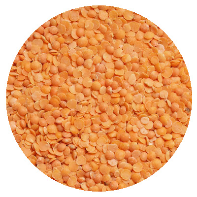 Discharging Image at Port